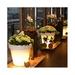 www.idee-decoration-vitrine-magasin.com